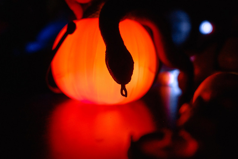 Украшение дома паутиной и летучими мышами к Хэллоуину в Novosibirsk